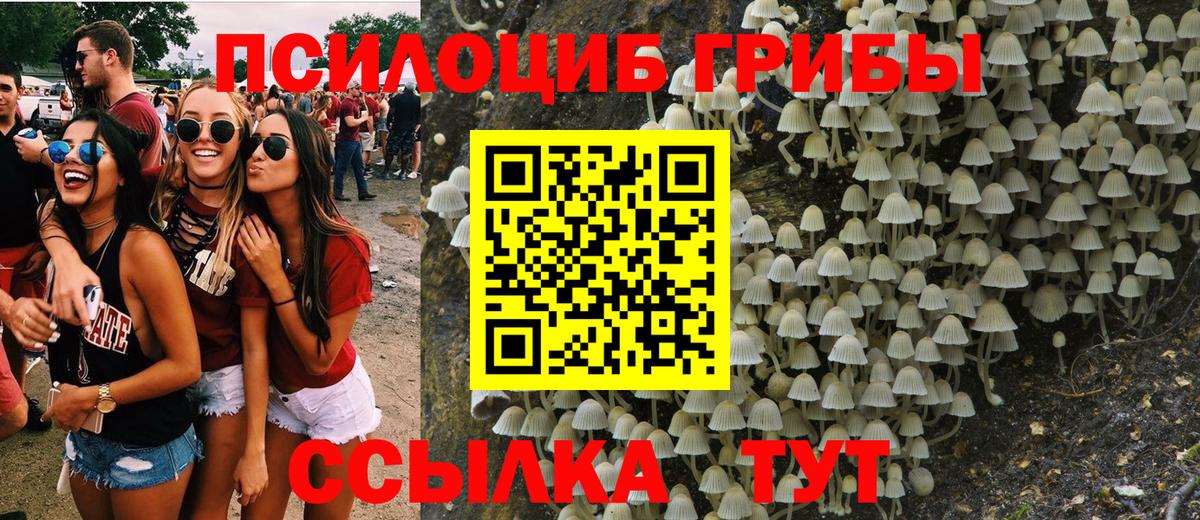 Псилоцибиновые грибы прущие грибы Заинск